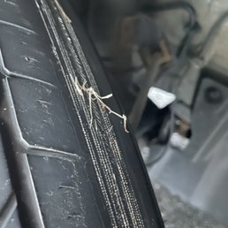 Tire is coming apart. Tire is coming apart.