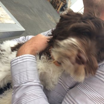 Two Rivers Cider - Blurry dog pic - Cideries Near Me - Sacramento, California