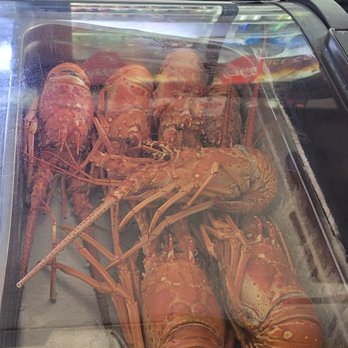 El Ikokal - Raw Lobster - Seafood Near Me - Humacao, Puerto Rico El Ikokal - Raw Lobster - Seafood Near Me - Humacao, Puerto Rico