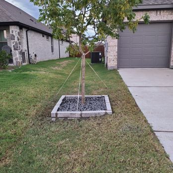 JIT Landscape and Design - After shot - Tree Services Near Me JIT Landscape and Design - After shot - Tree Services Near Me