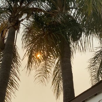 M&M Tree Service - Tree Services Near Me - La Puente, California