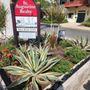 Photo of St Augustine Realty