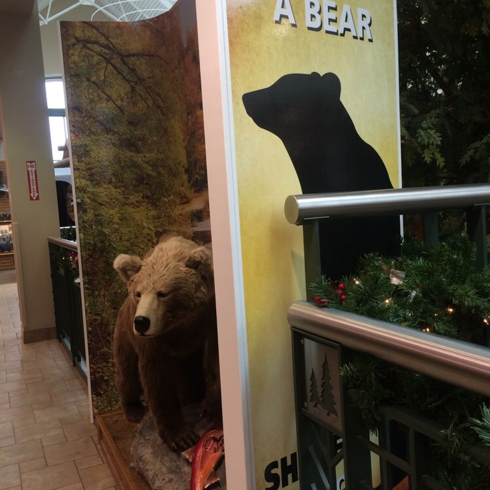 Scheels - Ummm yeah "great" photo op. Bear gutted fish - Hunting & Fishing Supplies Near Me - West Des Moines, Iowa Scheels - Ummm yeah "great" photo op. Bear gutted fish - Hunting & Fishing Supplies Near Me - West Des Moines, Iowa