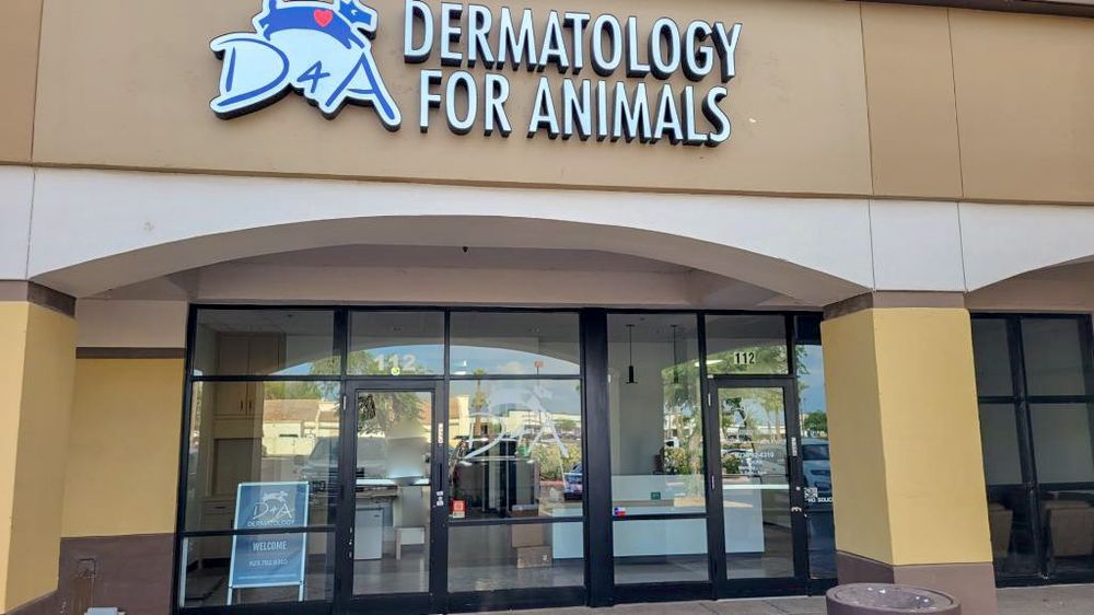 DERMATOLOGY FOR ANIMALS GOODYEAR Updated October 2025 378 N