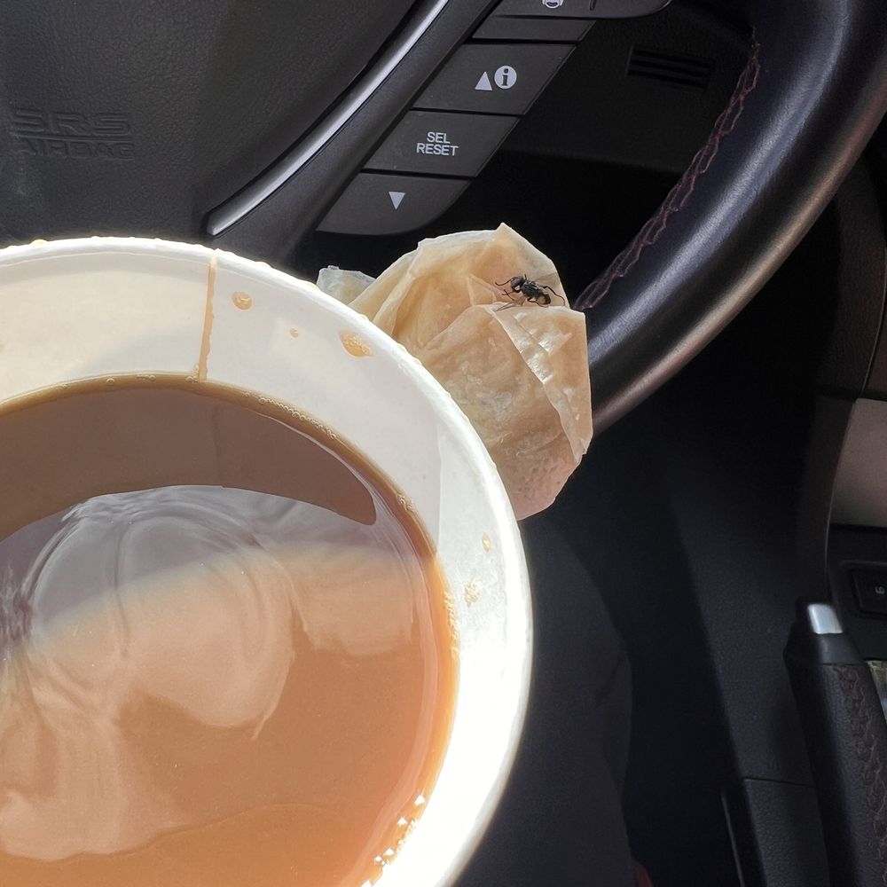Fly was inside my coffee Fly was inside my coffee