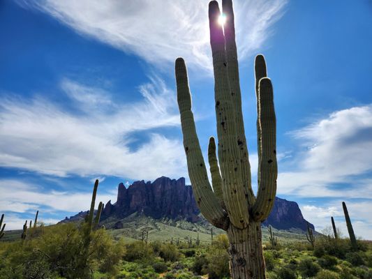 Lost Dutchman State Park by null