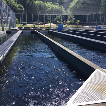 Quinalt National Fish Hatchery - Local Services Near Me - Humptulips, Washington