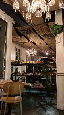 The Black Cypress by null