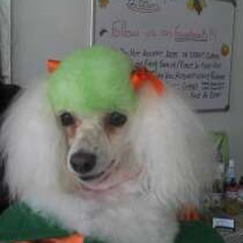 Dog Gone Pretty - we are ready for Easter!! - Pet Sitting Near Me - Harrodsburg, Kentucky Dog Gone Pretty - we are ready for Easter!! - Pet Sitting Near Me - Harrodsburg, Kentucky