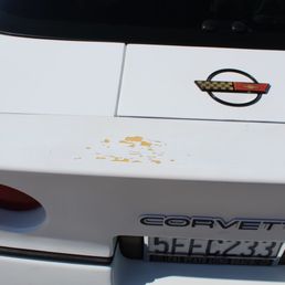 Rear Spoiler, BEFORE Rear Spoiler, BEFORE