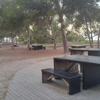 La Pinada - Picnic tables under the trees - Parks Near Me