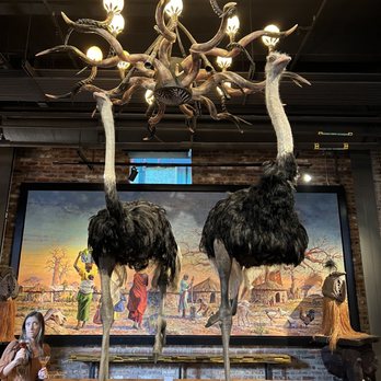 Baobab Lounge - Ostrich entrance - Lounges Near Me - Savannah, Georgia