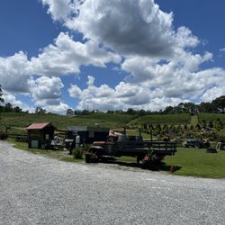 Big Door Vineyards