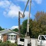 Photo of ASAP Tree Pros