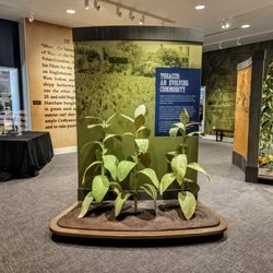 Fort Monroe National Monument - Display in the Ft. Monroe Visitor and Education Center