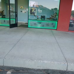 Pal's Collective - Front door to magic!