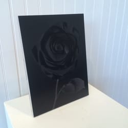 Mamaroneck Artists Guild - Soft Thorns