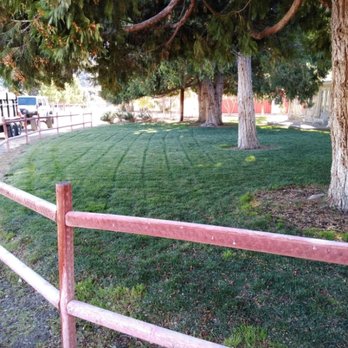 Orona Landscaping - Irrigation Near Me Orona Landscaping - Irrigation Near Me