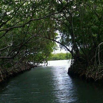 Johnny's Boats - A canal  on a day tour. - Tours Near Me - Lajas, Puerto Rico