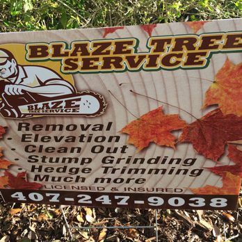 Blaze Tree Service - Very  professional and reasonable - Tree Services Near Me