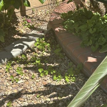 Damian Landscaping - Masonry/Concrete Near Me Damian Landscaping - Masonry/Concrete Near Me