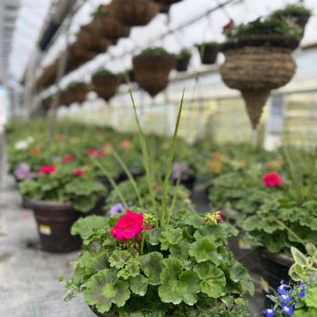 Madison Garden Center - Nurseries & Gardening Near Me - Adrian, Michigan Madison Garden Center - Nurseries & Gardening Near Me - Adrian, Michigan