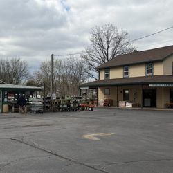 Denny McKeown's Bloomin Garden Centre - The calm before the spring rush