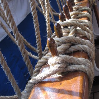 Amerigo Vespucci - Landmarks & Historical Buildings Near Me