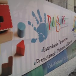 Pulguis