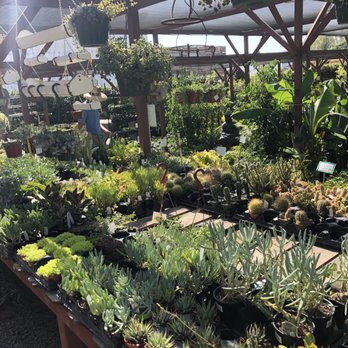 Evergreen Garden Center - Succulents - Nurseries & Gardening Near Me - Clovis, California Evergreen Garden Center - Succulents - Nurseries & Gardening Near Me - Clovis, California