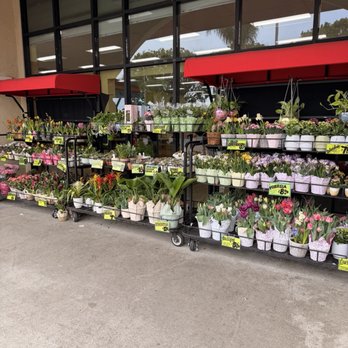 Trader Joe's - Grocery Near Me - Whittier, California