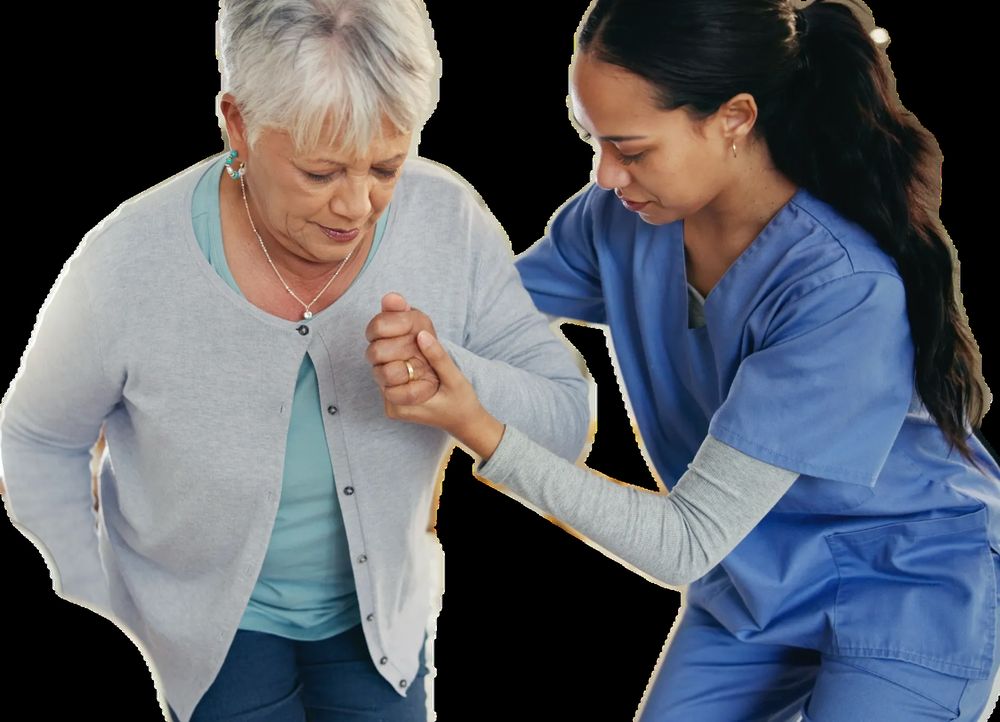 Adore Home Care - home care agency in Raleigh, NC