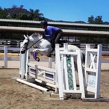 White Wolf Equestrian - Fitness & Instruction Near Me - San Marcos, California White Wolf Equestrian - Fitness & Instruction Near Me - San Marcos, California