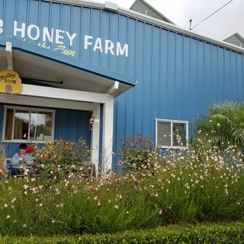 Bennett's Honey Farm - Wildflowers out front. - Specialty Food Near Me - Fillmore, California Bennett's Honey Farm - Wildflowers out front. - Specialty Food Near Me - Fillmore, California