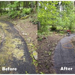 Easy Flow Gutter - Before and after photo of a walkway we pressure washed
