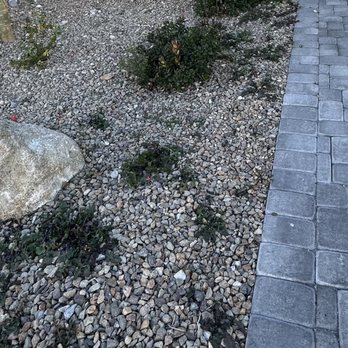 Sierra View Landscape - Before - Landscaping Near Me Sierra View Landscape - Before - Landscaping Near Me