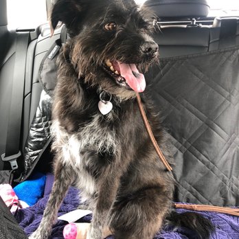 Brookside Animal Hospital Veterinarians 690 Wall Ave Ogden Ut Phone Number