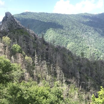 Chimney Tops Trail - Hiking Near Me - Gatlinburg, Tennessee