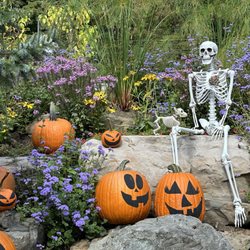 Creekside Gardens - Lots of spooky spots!