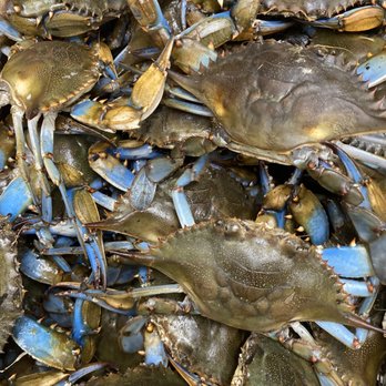 Pike's Seafood - Seafood Markets Near Me - Seneca, South Carolina Pike's Seafood - Seafood Markets Near Me - Seneca, South Carolina