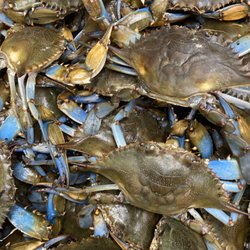 Pike's Seafood