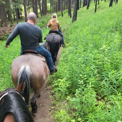 Early Winters Outfitters - Judy tells fun things about the plants and land around while out.