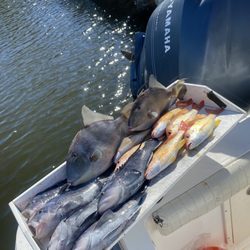 Captain Hook 2 Fishing Charters