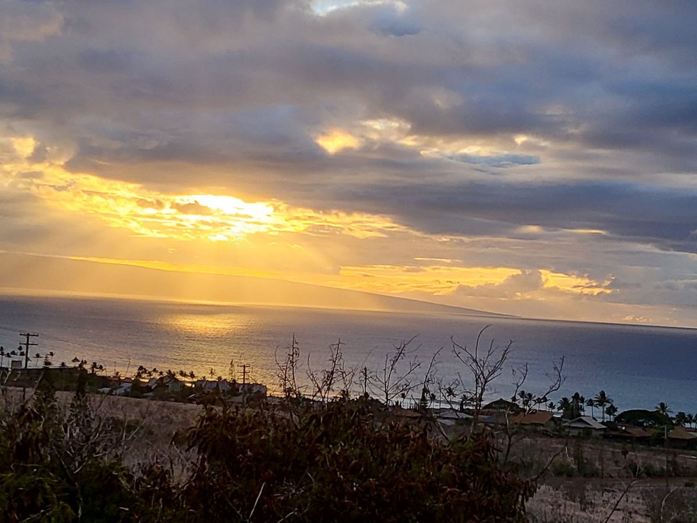 KAPALUA WEST MAUI AIRPORT JHM TEMP. CLOSED Updated October 2024 70 Photos & 43 Reviews