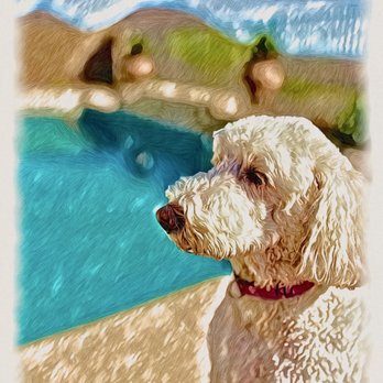 DogsNewBFF - Peaches enjoying time outside with DogsNewBFF. - Pet Sitting Near Me DogsNewBFF - Peaches enjoying time outside with DogsNewBFF. - Pet Sitting Near Me