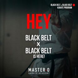 Master O Karate Academy