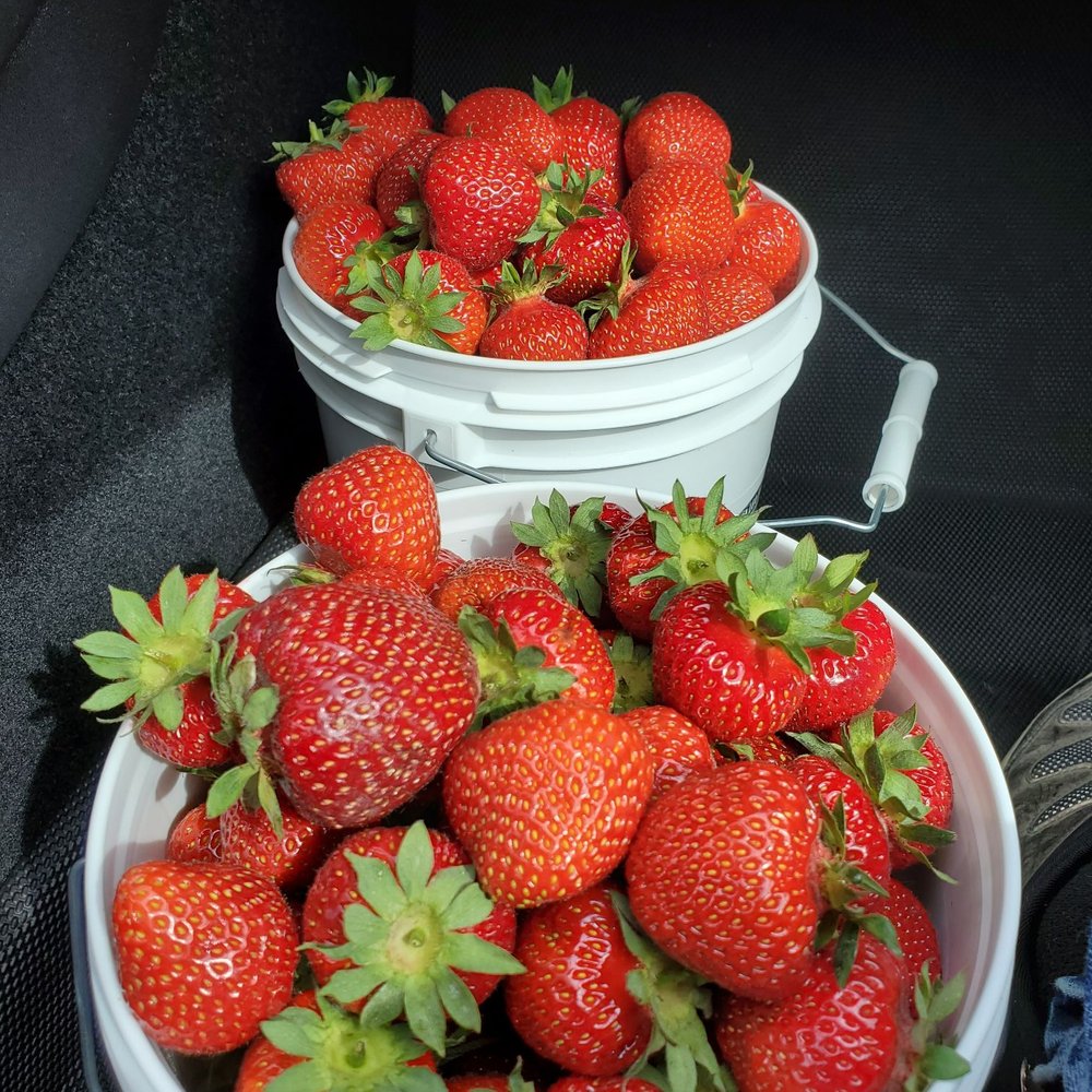 Emma Lea Farms - Fruits & Veggies Near Me - Delta, British Columbia