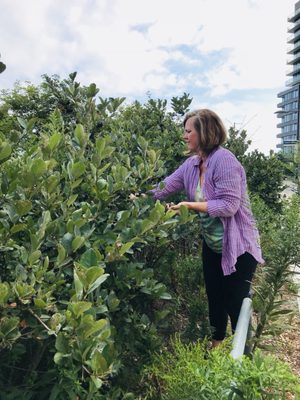 Corktown Common by null