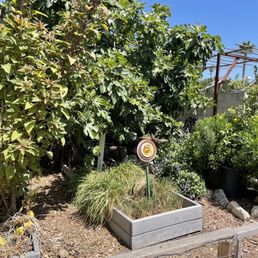Their garden Their garden