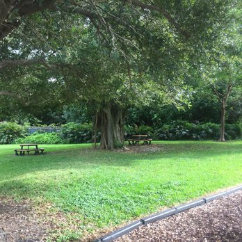 Kagan Park - Shady area with a Banyan and picnic tables - Bocce Ball Near Me - Juno Beach, Florida